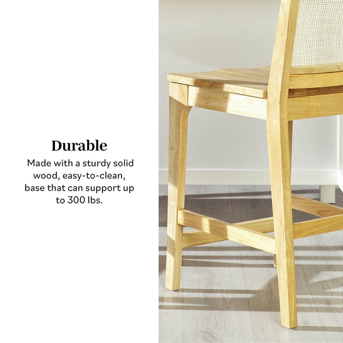 Transitional Counter Stool (Set of 2) - Natural