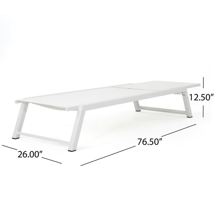Myers - Modern Chaise Lounge Set With Adjustable Mesh Back